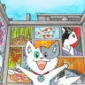 Meow Gallery Pro